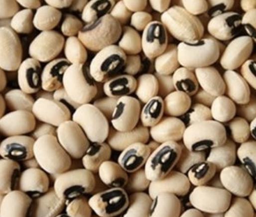 Beans (White)