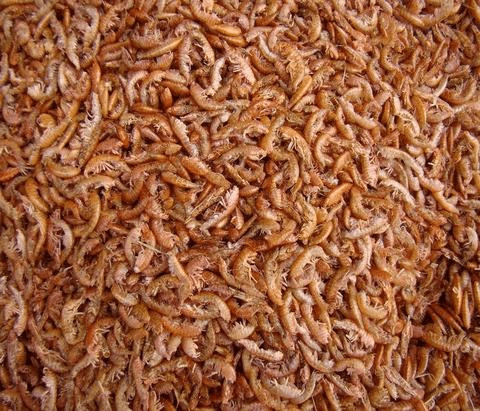 Dried Crayfish