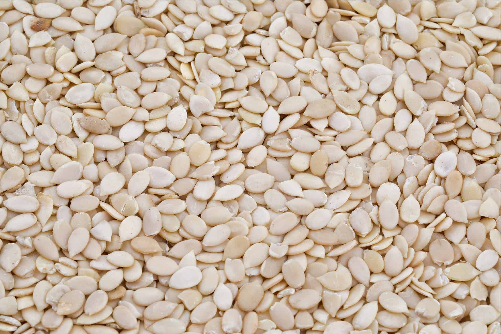 JannyMart Egusi Melon Seeds